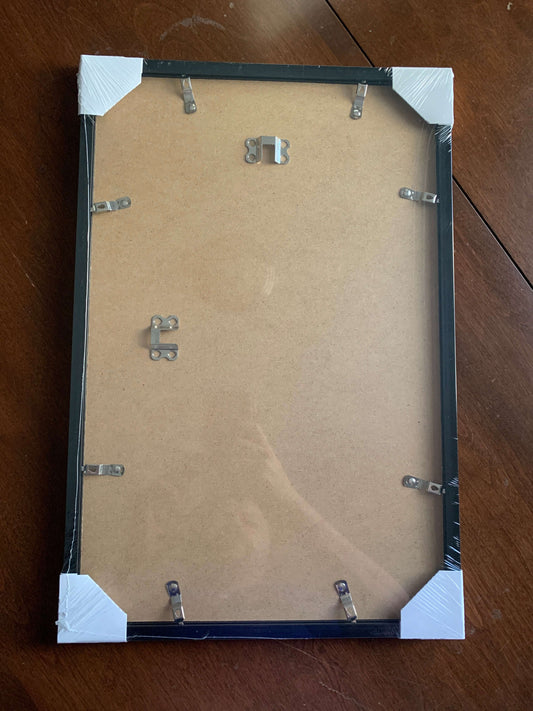 Predators Framed movie art 12x18 poster prints fan art illustration sci-fi